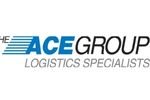 The Ace Group Inc.