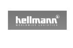 Hellmann Worldwide Logistics GmbH & Co KG