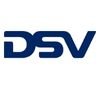 DSV Air & Sea Inc